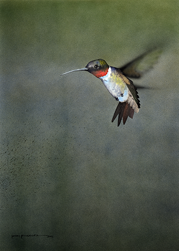 NFT-Hummingbird