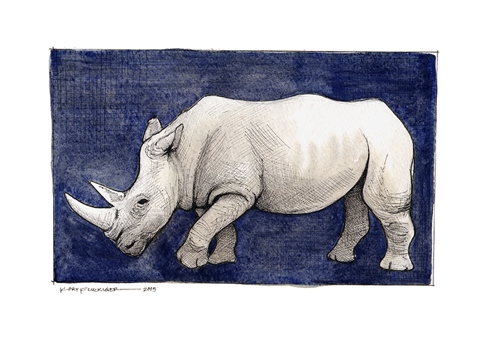 Study for Rhino