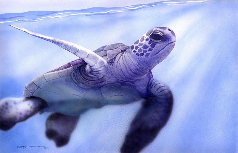 Sea Turtle