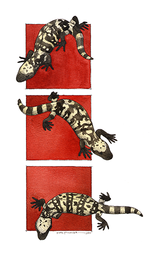 Three Gila Monsters