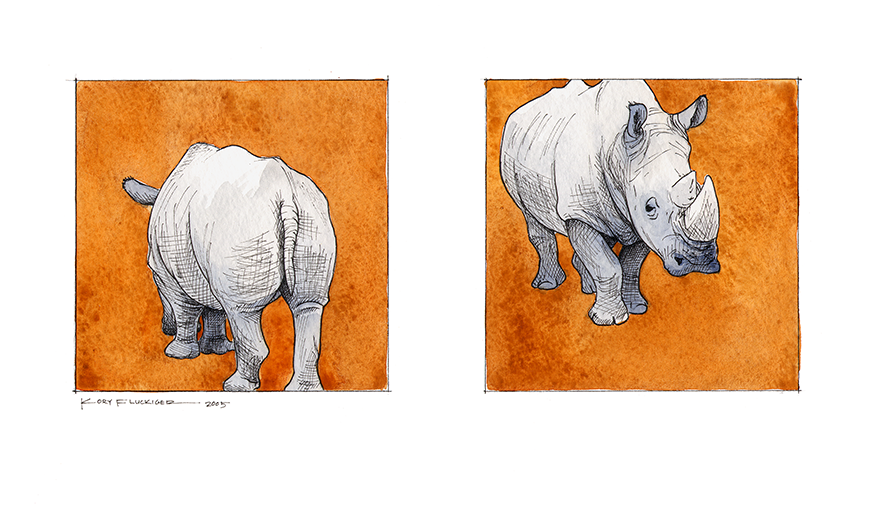 Study for Two Rhinos